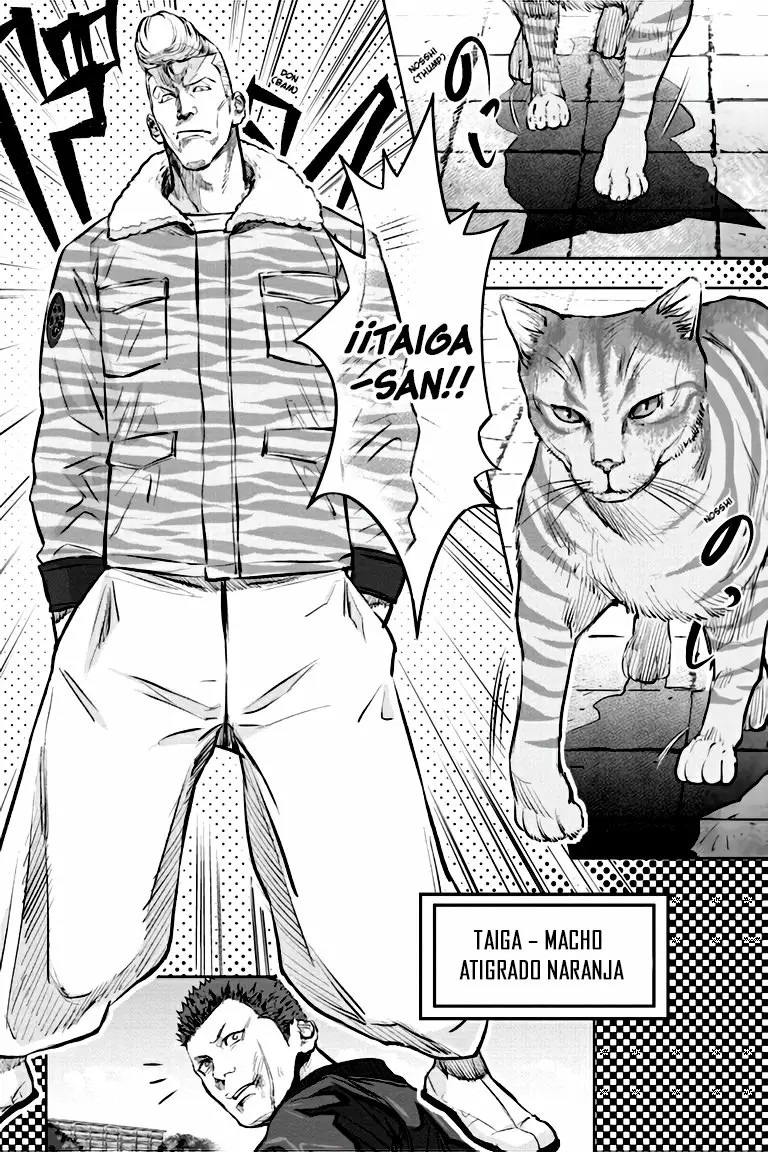 Nyankees Vol. 1 Ch. 1 第29页