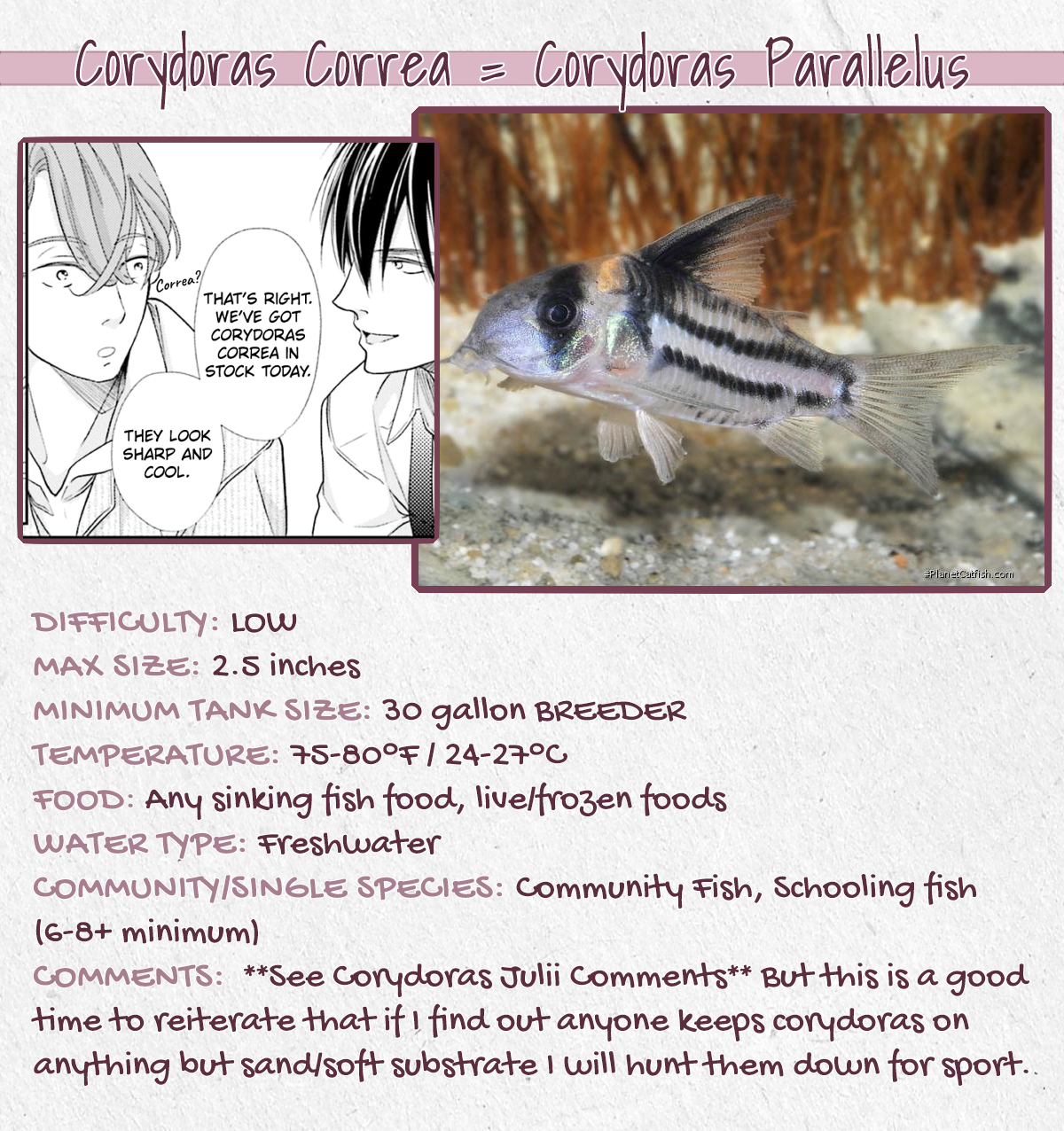 Doraneko to Sakana Ch. 1 第34页