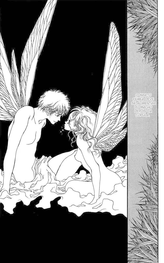 Soft Shell Apaixonando-se Pelo Céu 第24页