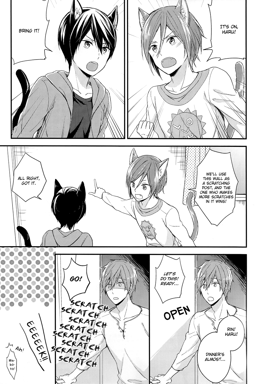 Free! - Koneko no Parade (Doujinshi) 第2页