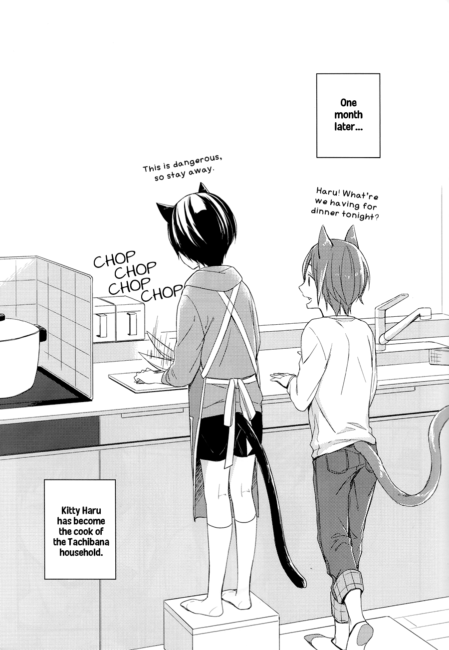 Free! - Koneko no Parade (Doujinshi) Oneshot 第14页