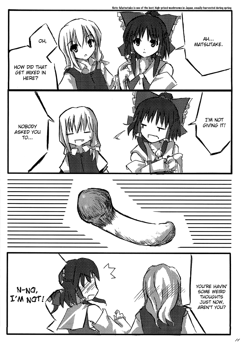Touhou - MATE (Doujinshi) dear one 第10页