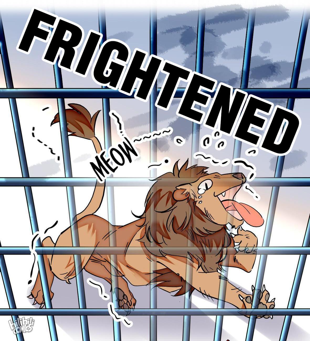 Me and My Zoo Bully the Lions in the Zoo 第81页