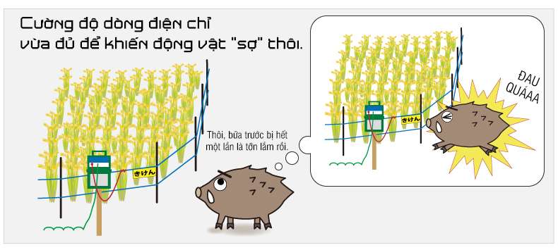 Wana Girl Thiếu nữ nhà nông, kiêm nhà "bẫy học" 第37页