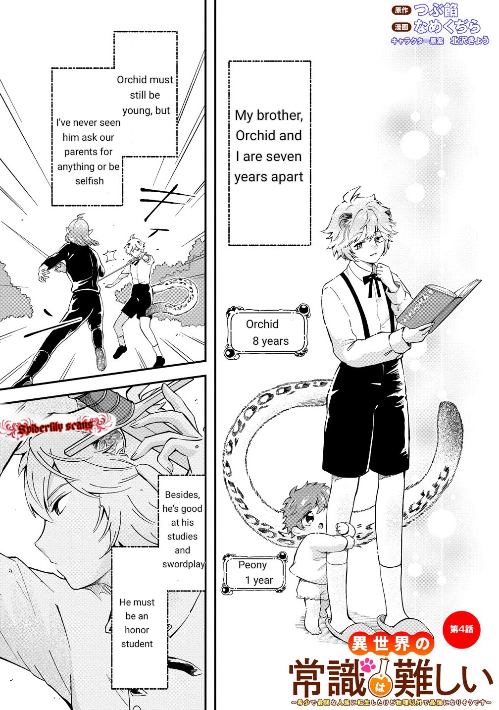 Isekai no Joushiki wa Muzukashi 第2页