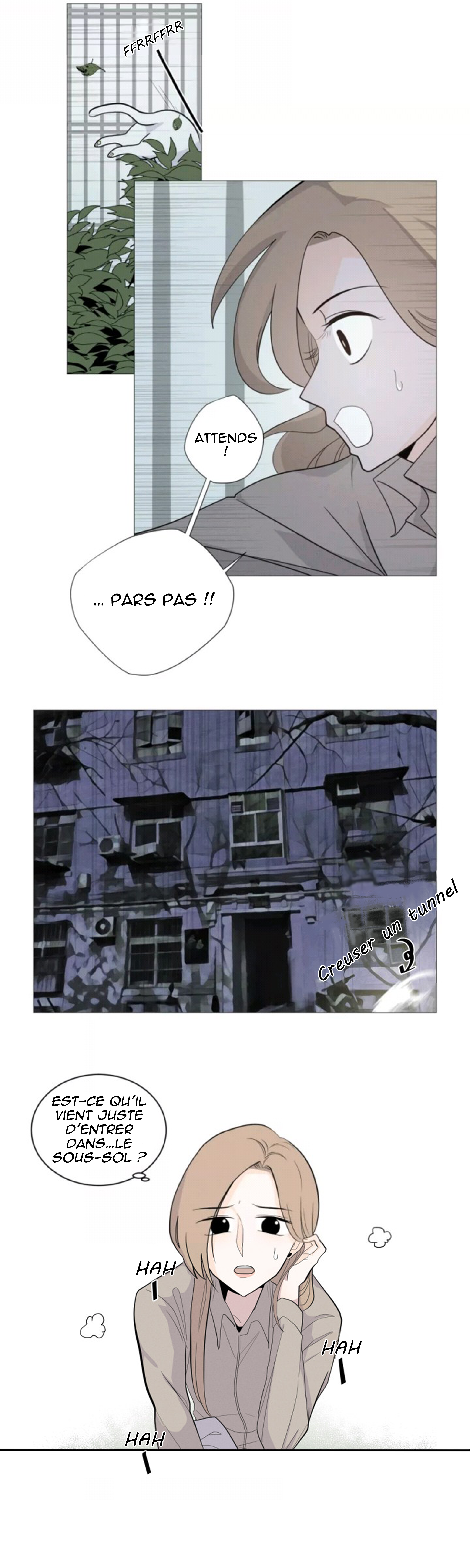 Half Un chat errant (1) 第16页