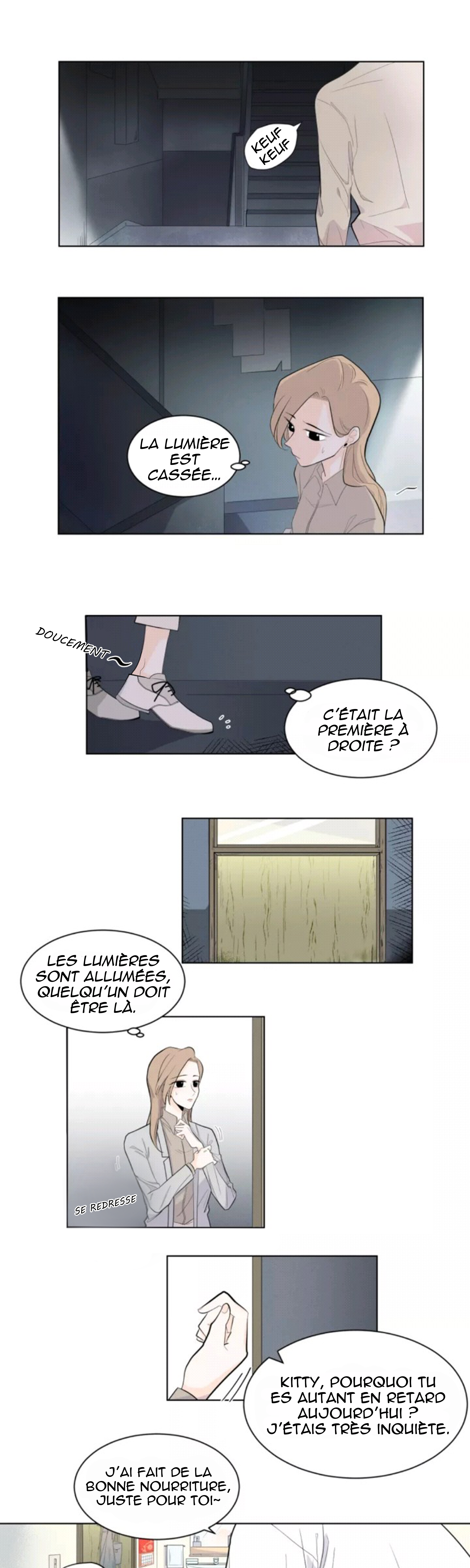 Half Un chat errant (1) 第17页
