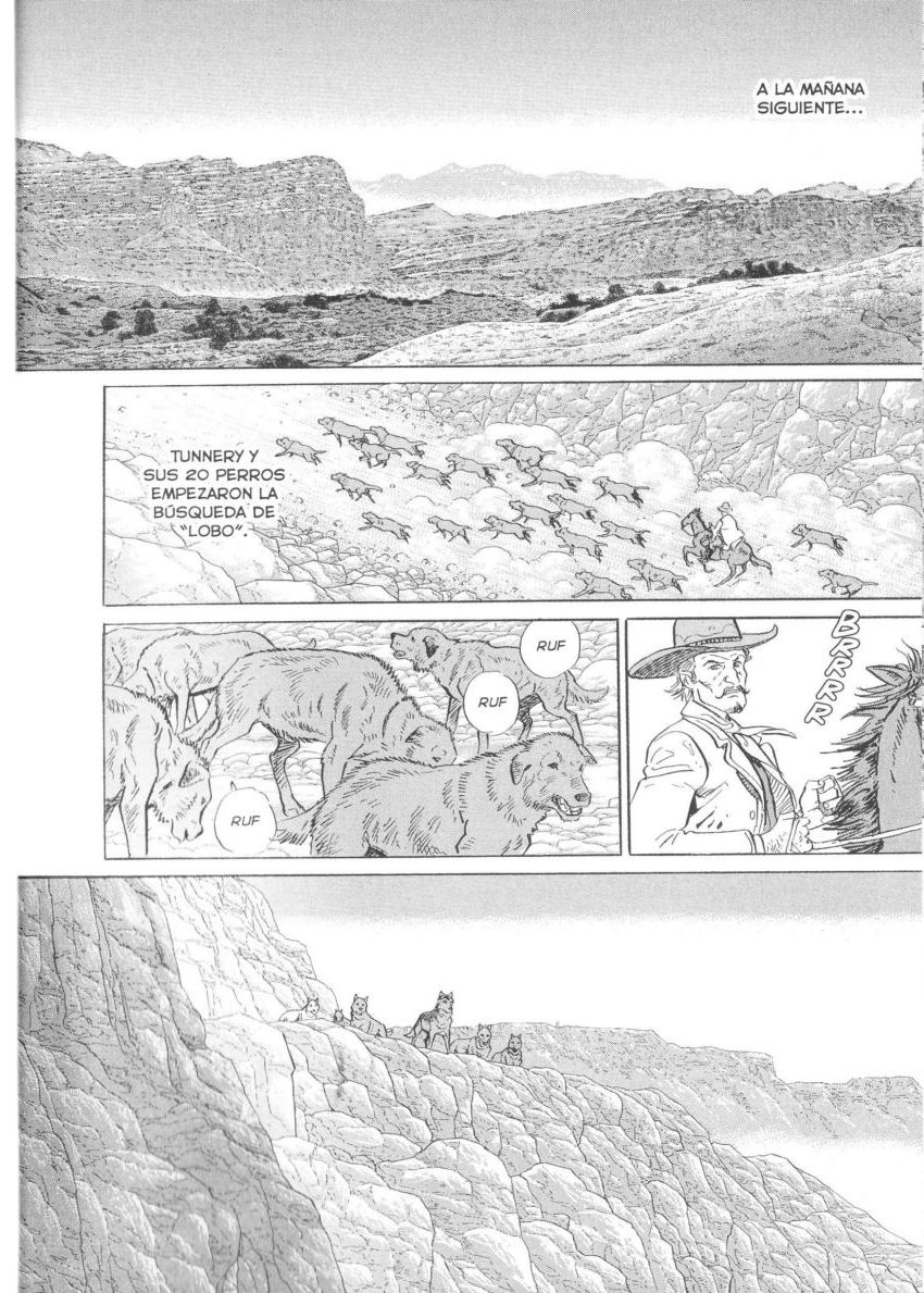 Seton Cazadores de Lobos 第8页