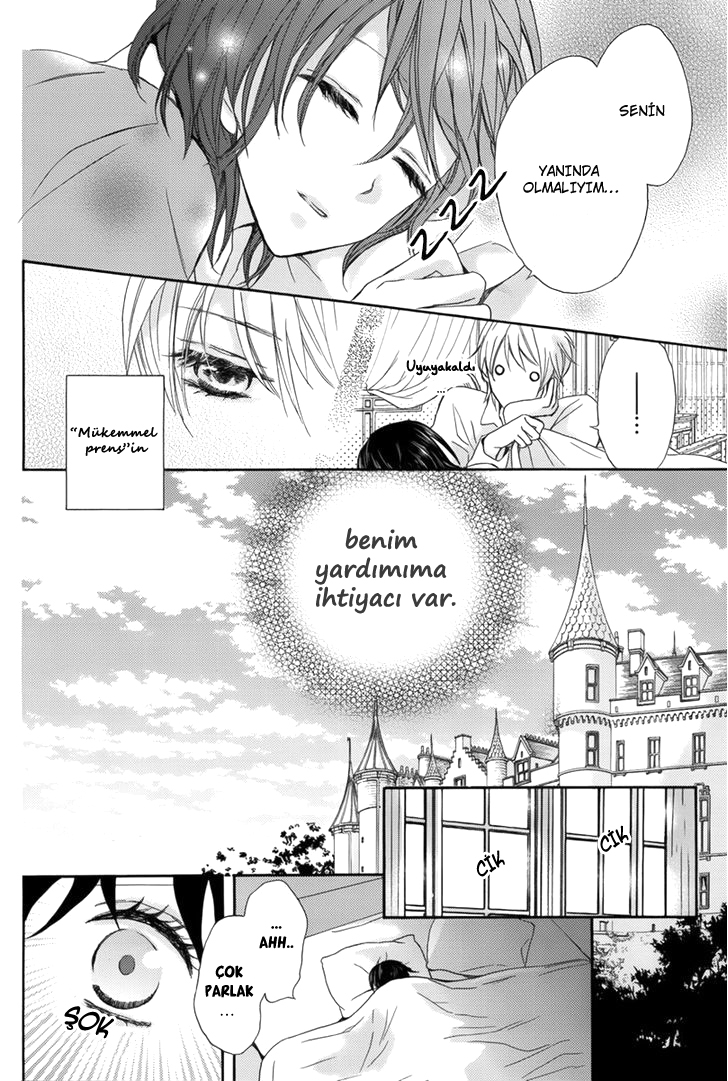 Risou no Ouji no Tsukurikata Oneshot 第17页