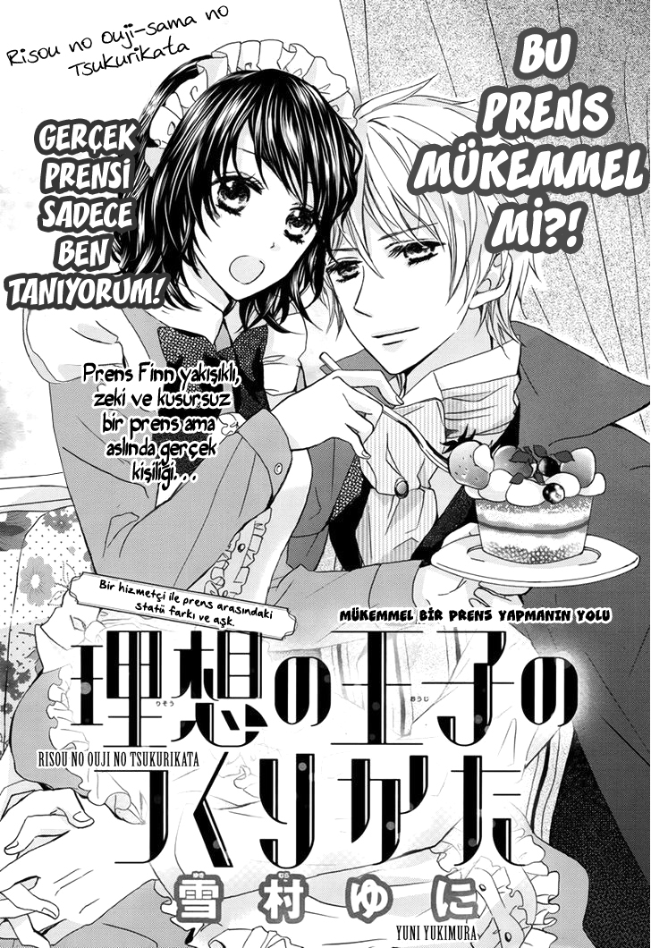 Risou no Ouji no Tsukurikata 第4页