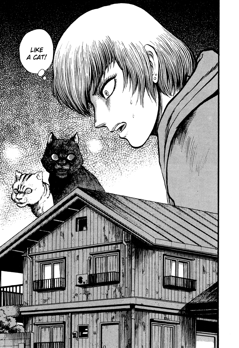 The Hounds of Heaven Kamaitachi 第25页