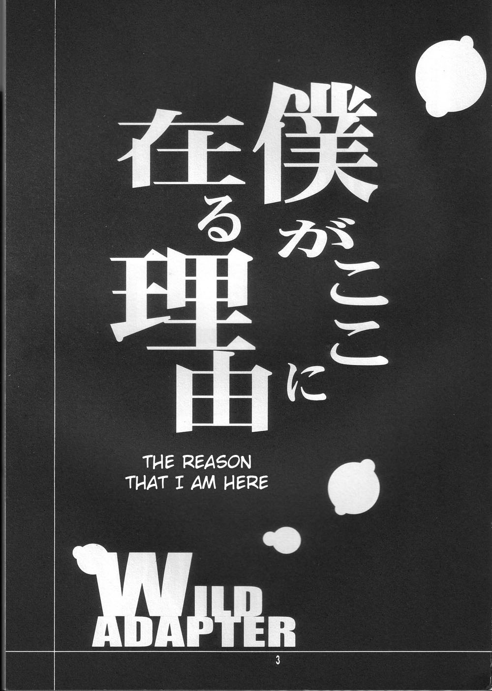 Wild Adapter 第3页