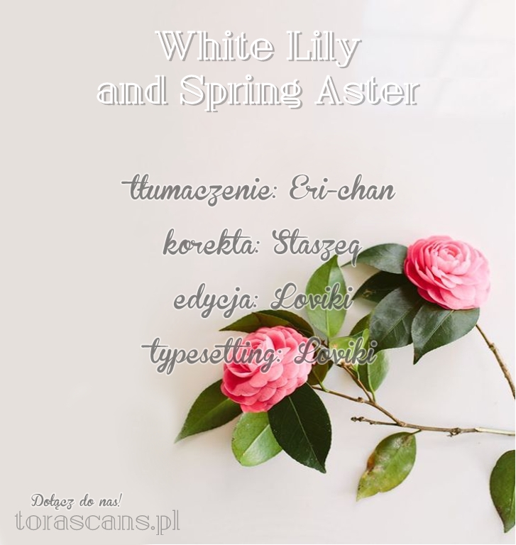 White Lily and Spring Aster 第1页
