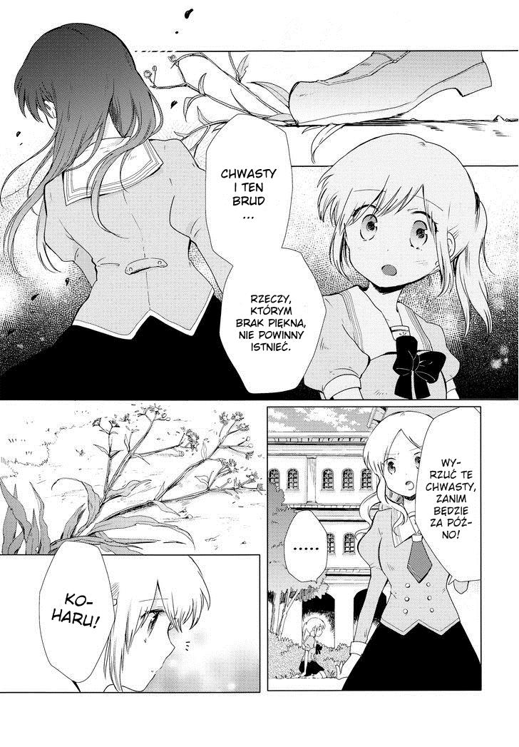 White Lily and Spring Aster 第8页
