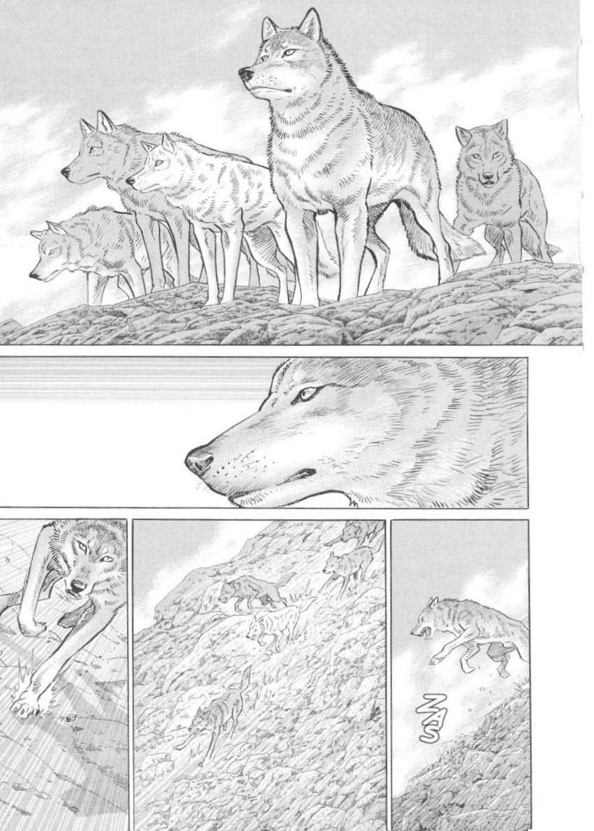 Seton La Manada de Los Lobos de Currumpaw 第11页