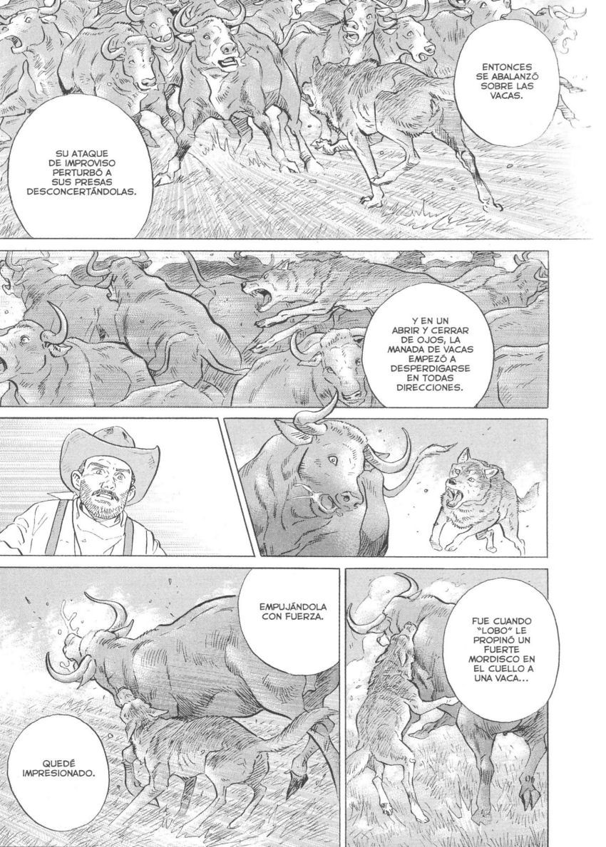 Seton La Manada de Los Lobos de Currumpaw 第23页