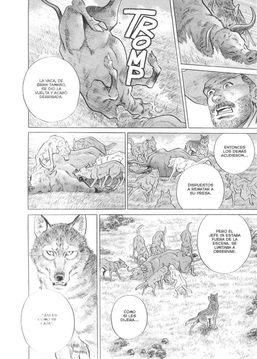 Seton La Manada de Los Lobos de Currumpaw 第24页