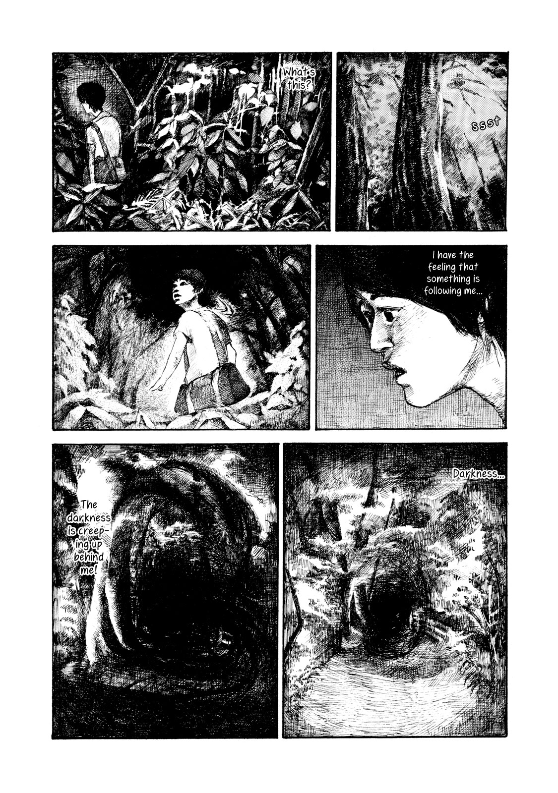 The Tale of That Forest 第3页