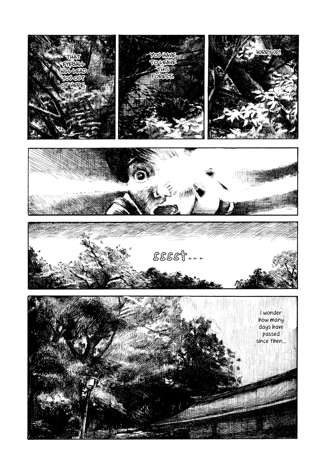 The Tale of That Forest 第8页