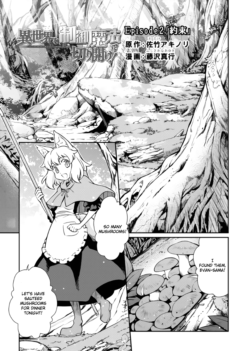 Carve the Different World with Control Magic! Promise 第1页