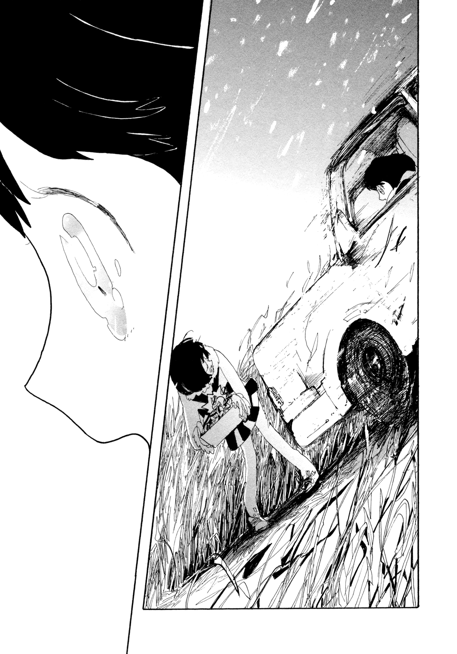 There's Nothing Wrong with Me Hit by a Car 第25页