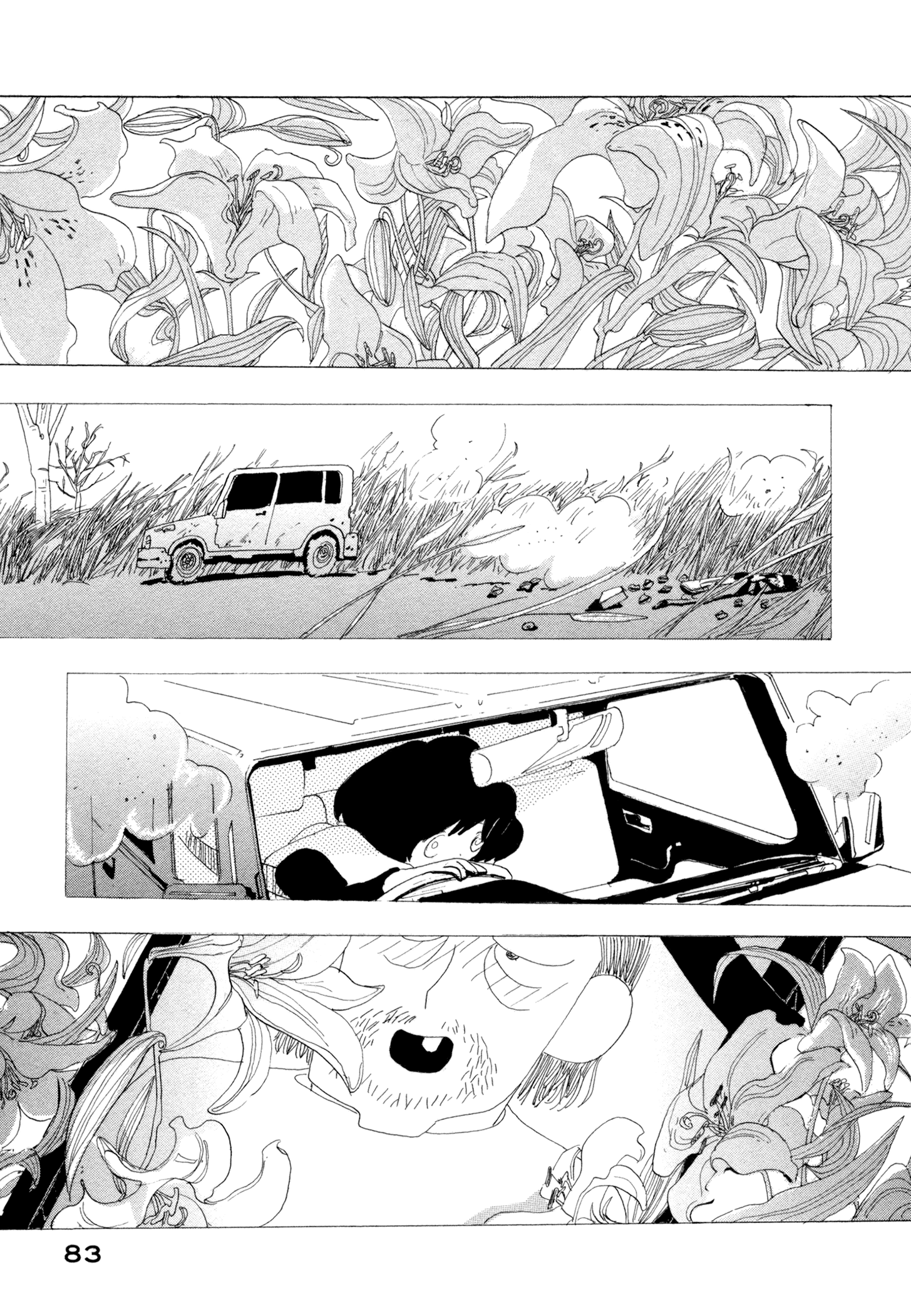 There's Nothing Wrong with Me Hit by a Car 第27页