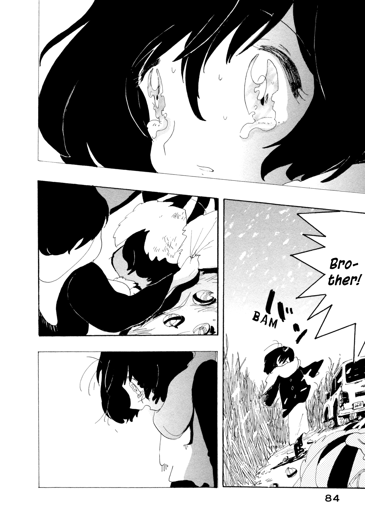 There's Nothing Wrong with Me Hit by a Car 第28页
