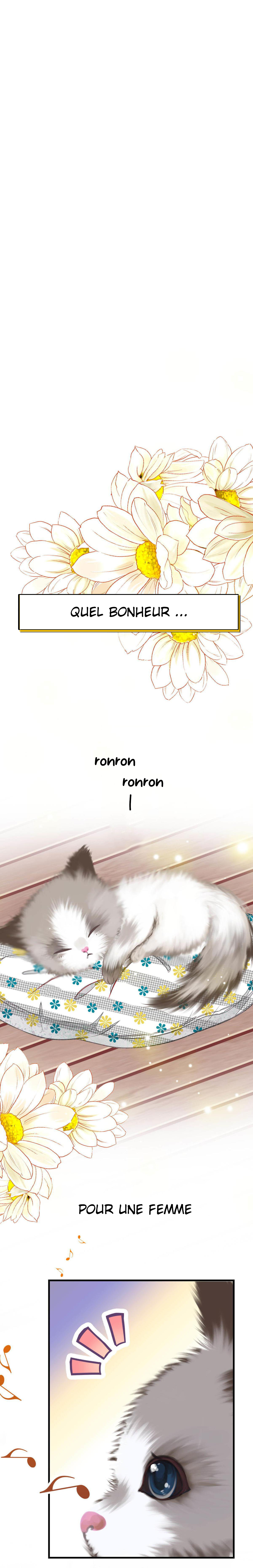 With Cats Only 第2页