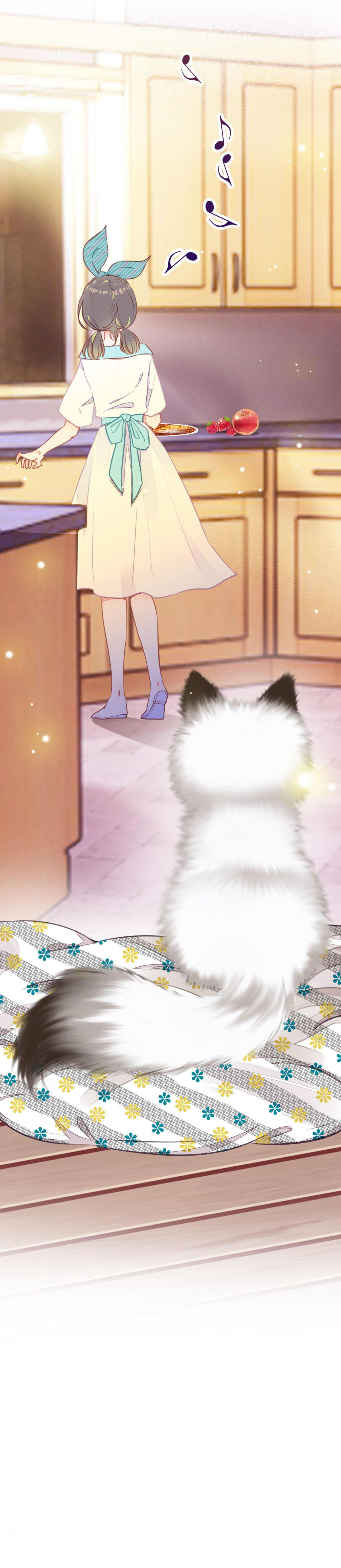 With Cats Only 第3页