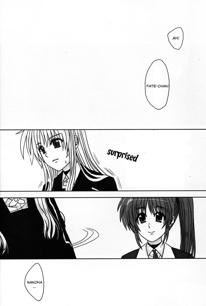 Mahou Shoujo Lyrical Nanoha - Catastrophe (Doujinshi) Catastrophe Part I 第11页