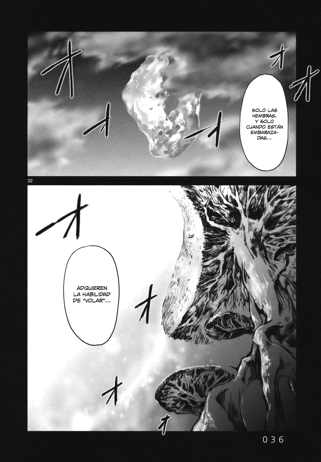 Wombs Alistamiento 第34页