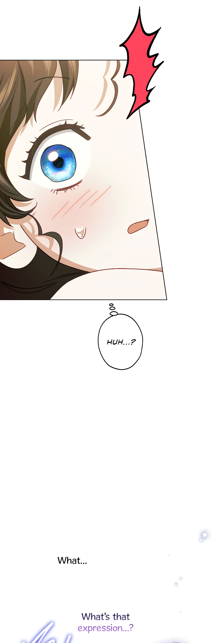 Youngest Sister-in-Law in a Tragic Reverse Harem Ch. 2 第25页