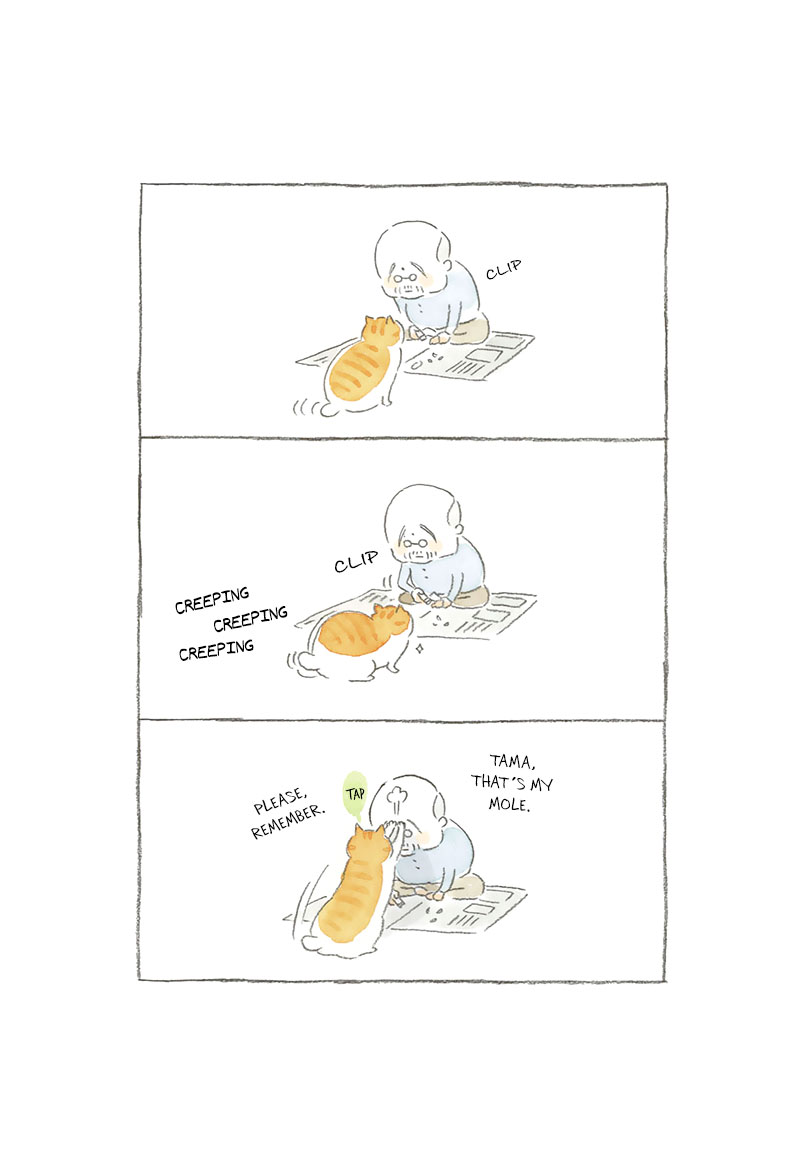 Cat and Grandpa 第7页