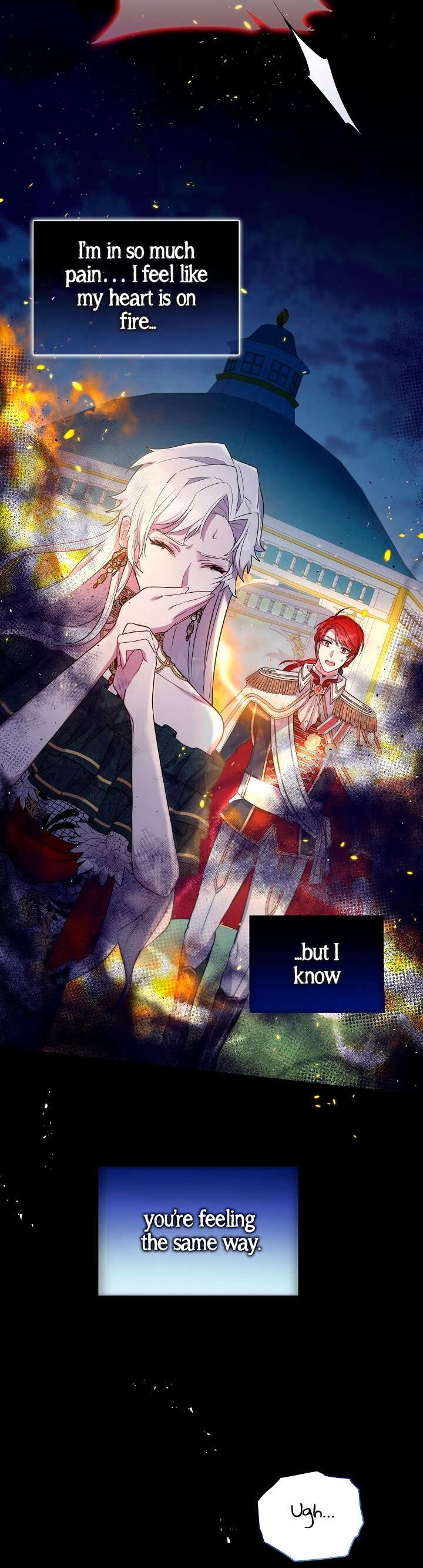 The Villainous Princess Won't Tolerate a Bad Ending Ch. 3 第24页