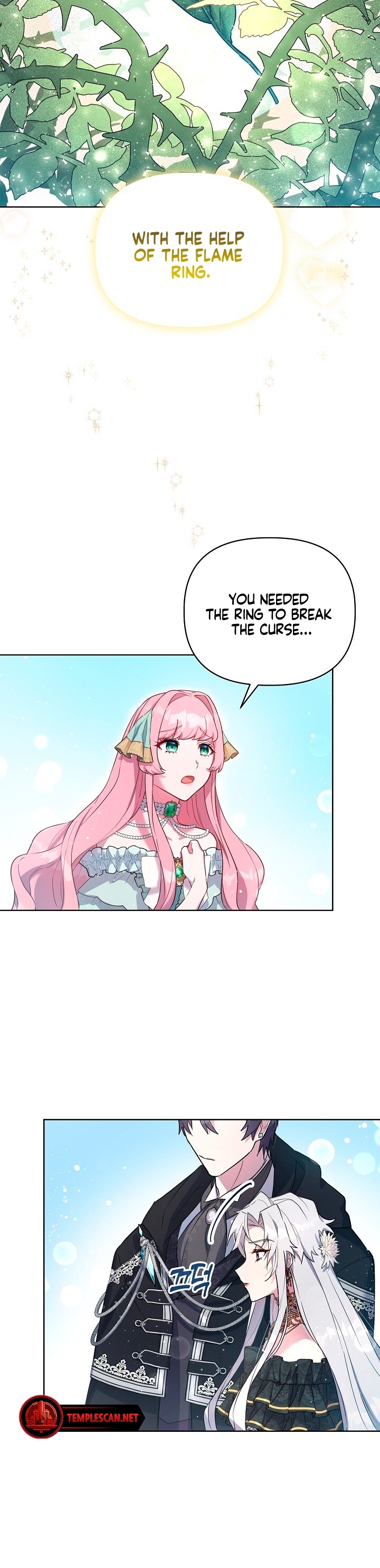 The Villainous Princess Won't Tolerate a Bad Ending Ch. 3 第40页