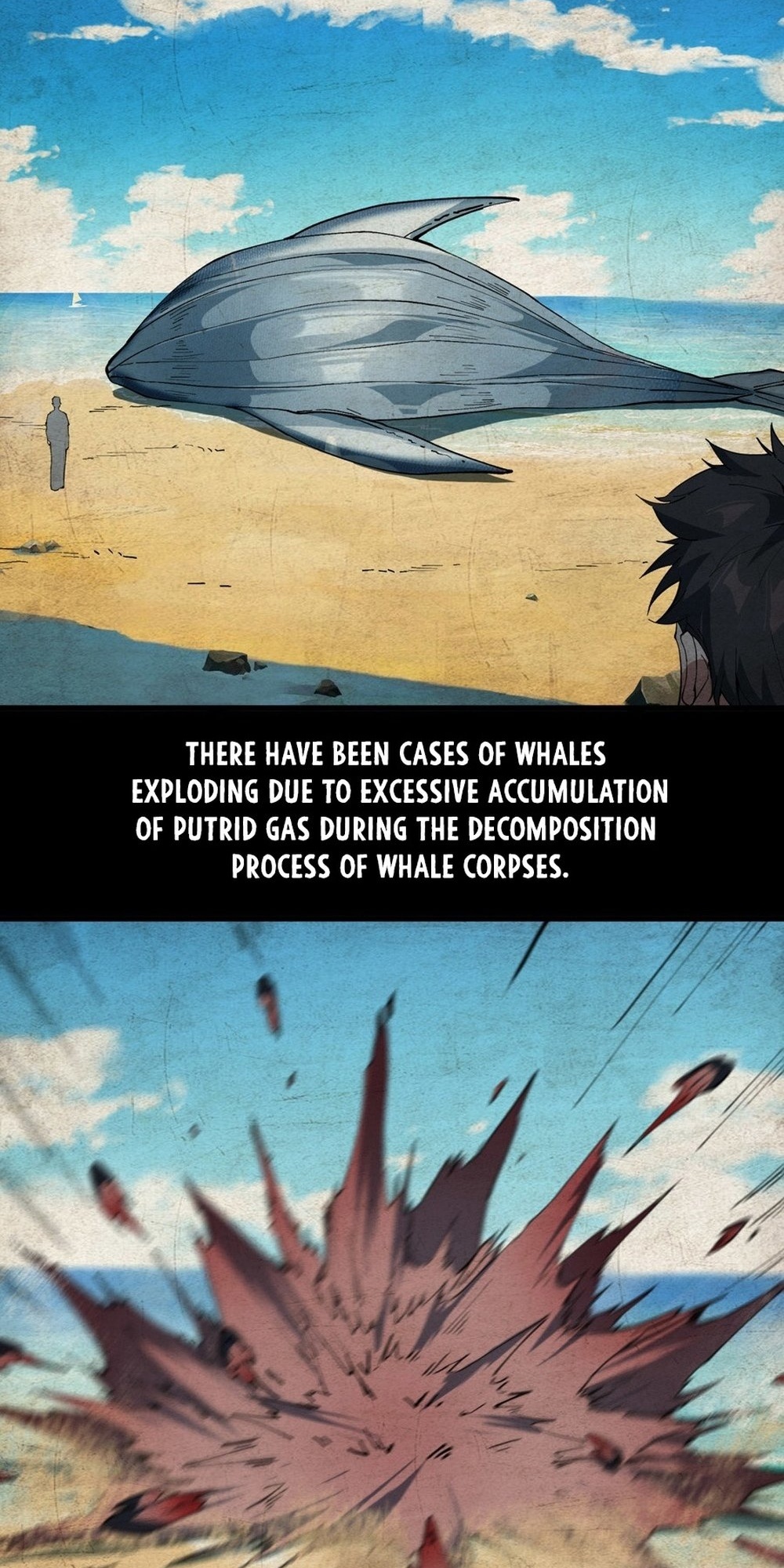 Evolution from Carp to Divine Dragon Ch. 3 第29页