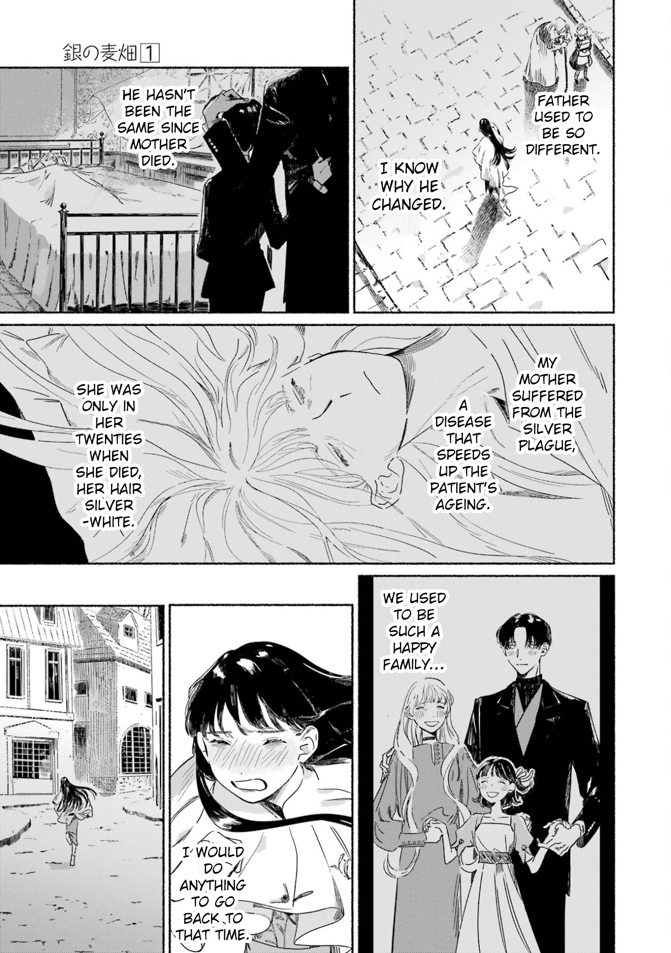 Gin no Mugibatake The Silver Magician 第17页