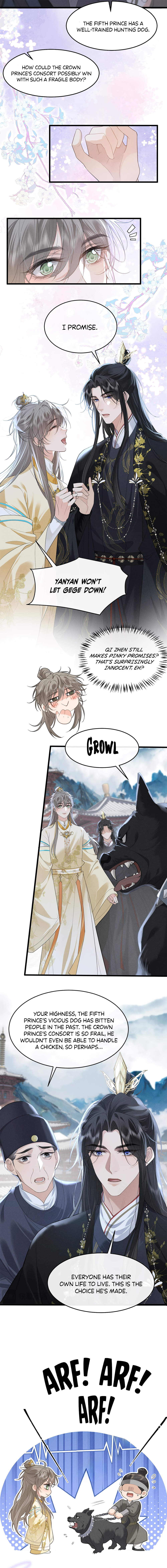 Mad for Love Competing with a Dog 第7页