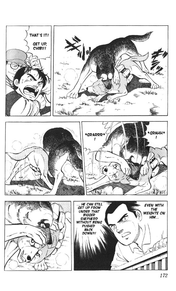 Fangs of White Lotus You've Become Strong, Chibi 第24页