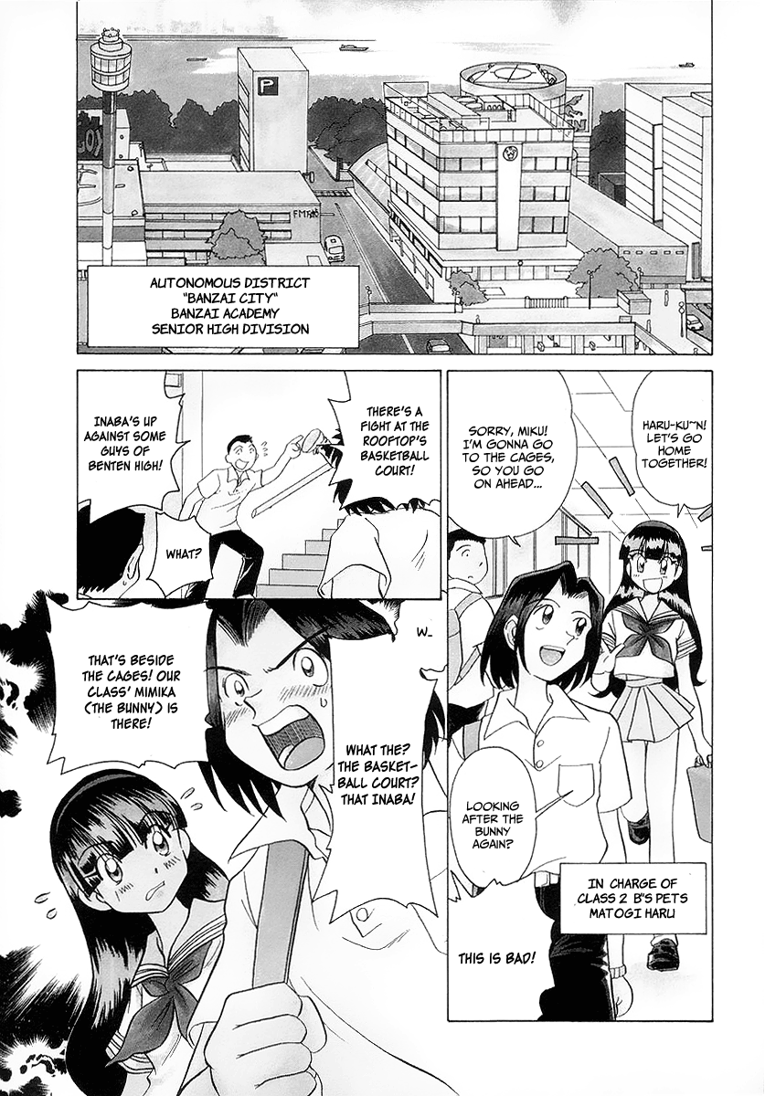 Usagi-chan de Cue!! Ch. 1 第10页
