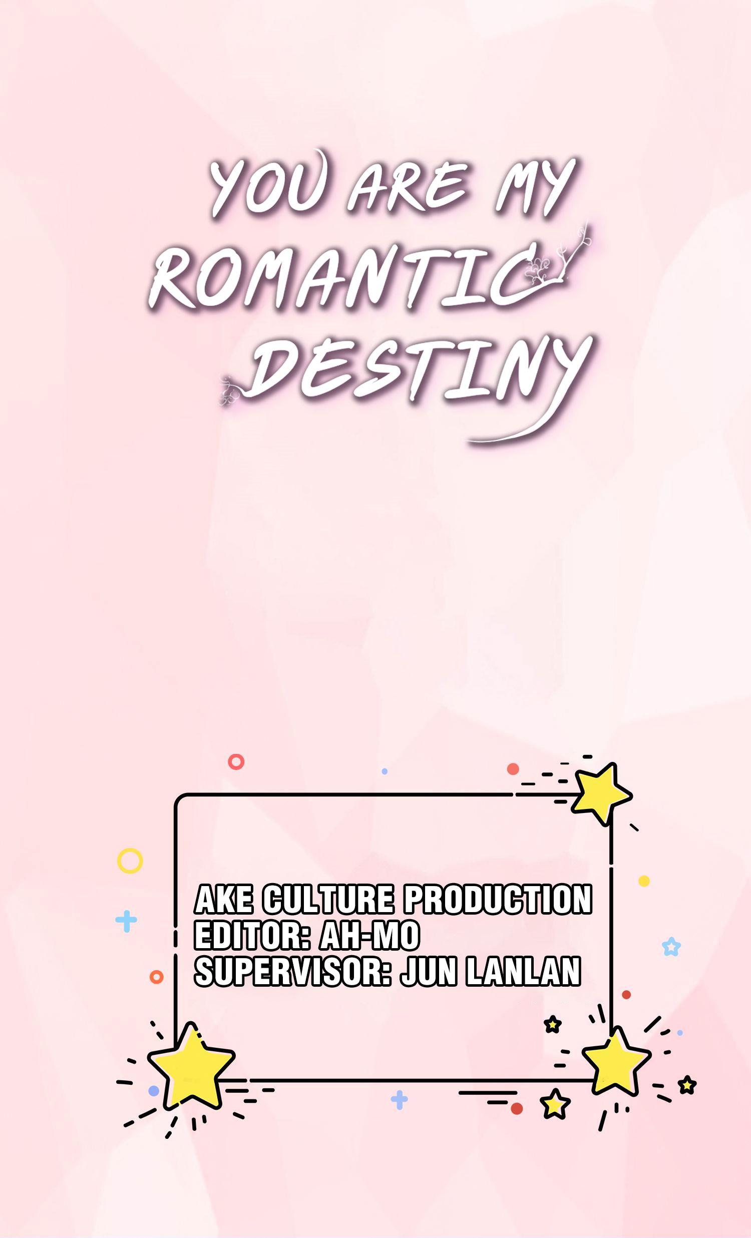 You Are My Romantic Destiny The Mystery of the Missing Princess 第1页