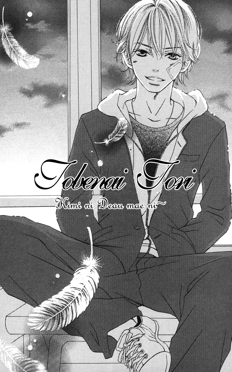 Tobenai Tori Vol. 1 Ch. 3.5 第3页