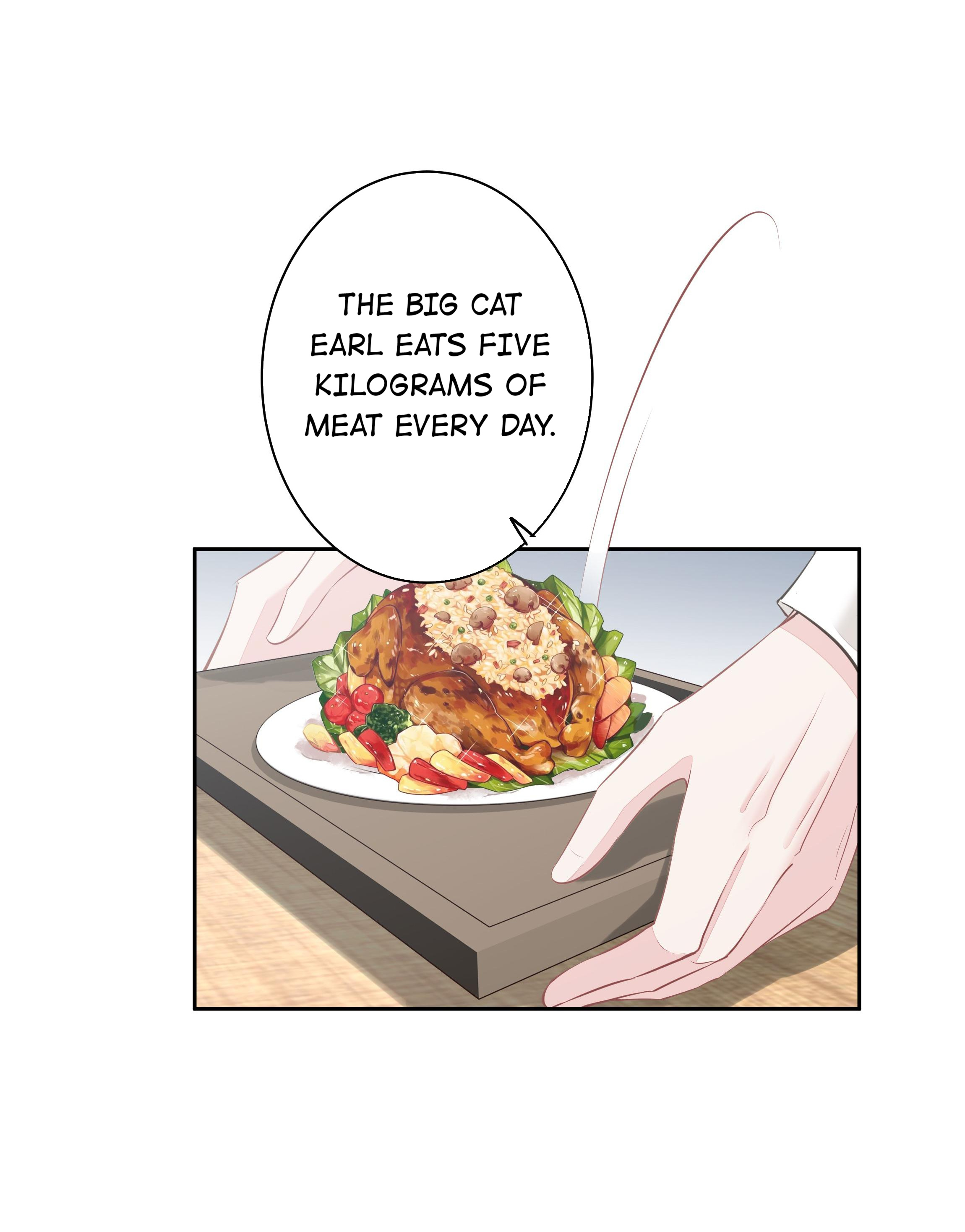 The Cat Whisperer My Mom Doesn’t Like Chickens 第28页