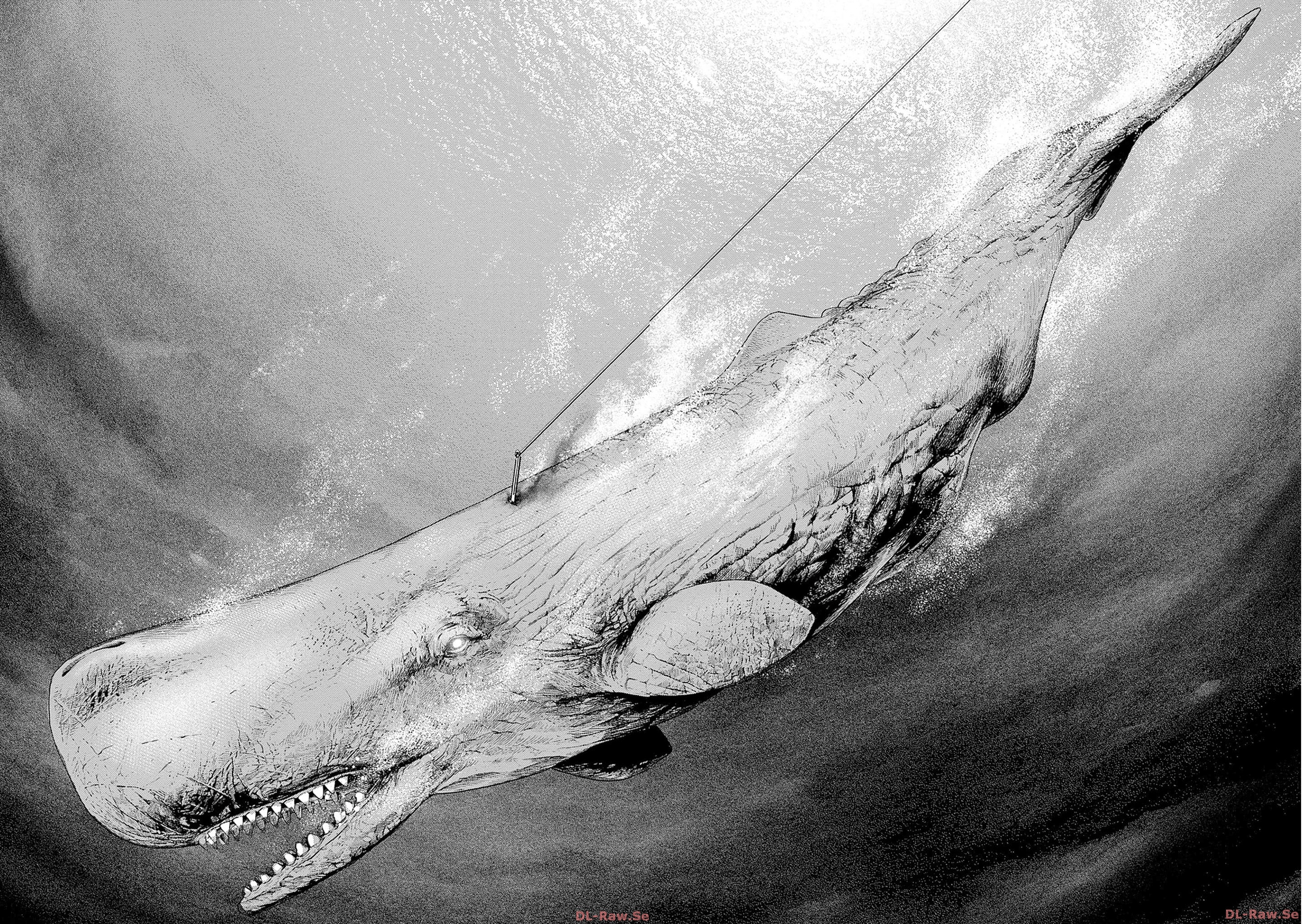 Ahab Vol. 1 Ch. 3 第35页
