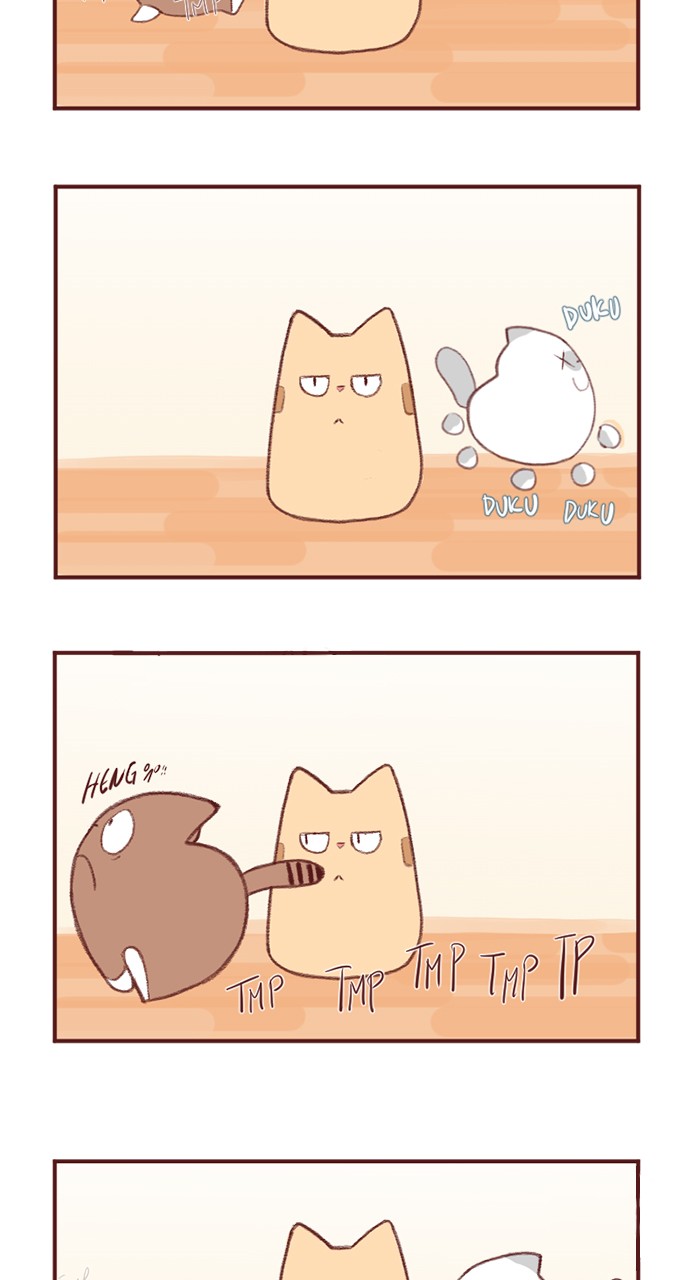 Saphie: The One-Eyed Cat Ch. 2 第5页