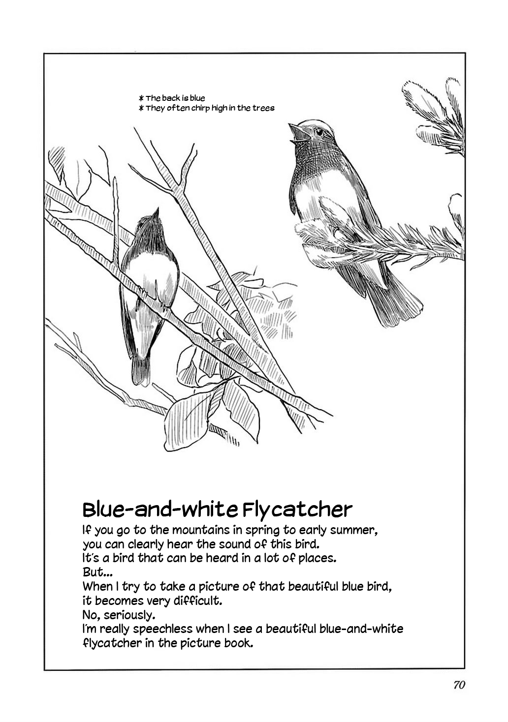 Akiyama-san no Tori Life Let's Go See The Flycatcher! 第22页