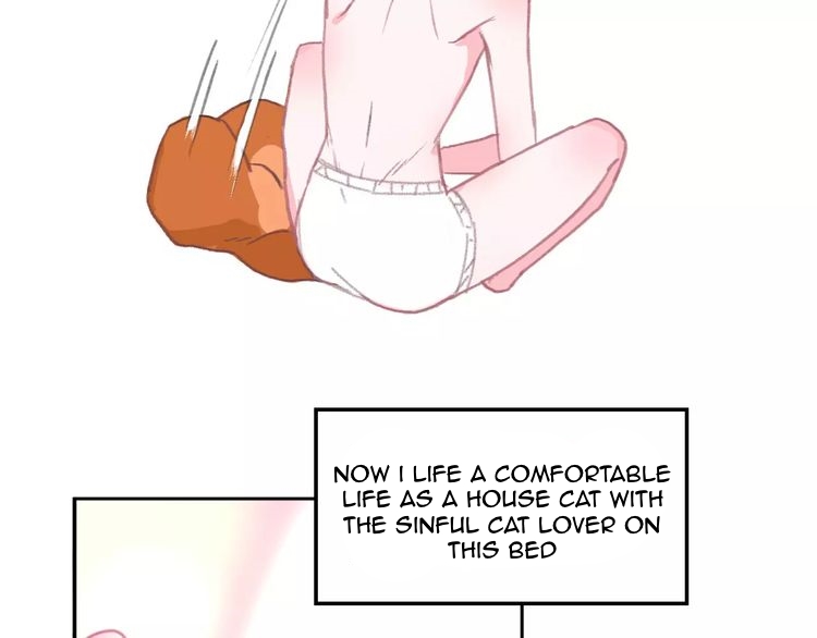 A Cat's World 第2页