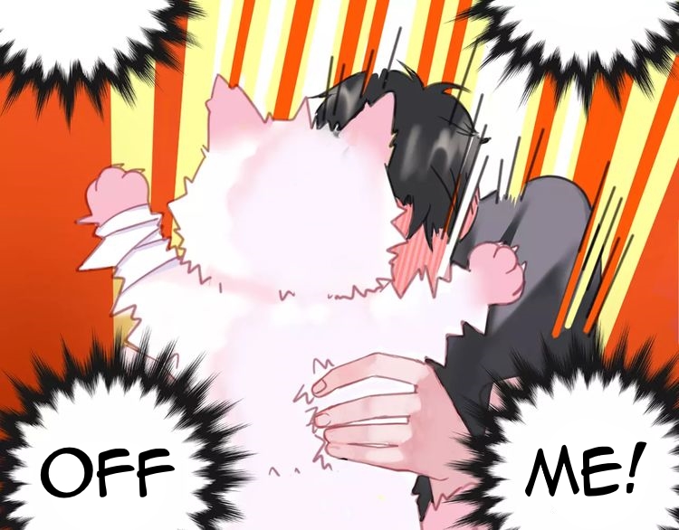 A Cat's World My pet is human 第12页