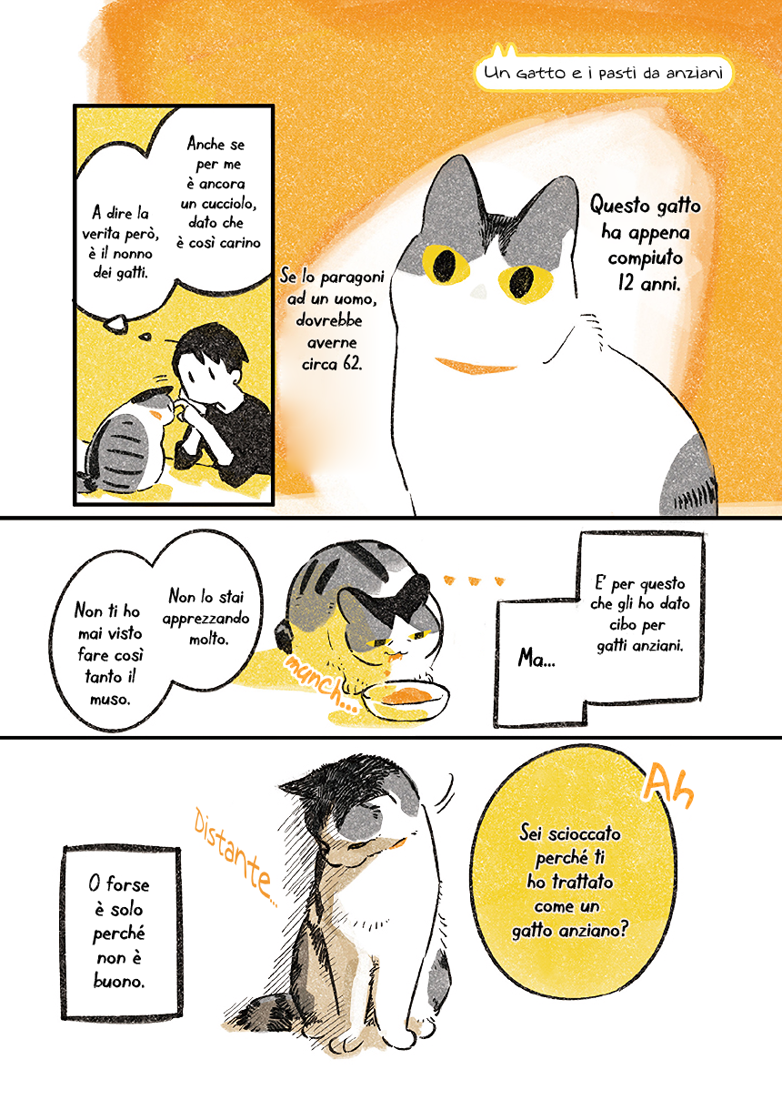 Life with a Grandpa Cat Cibo per un gatto anziano 第1页