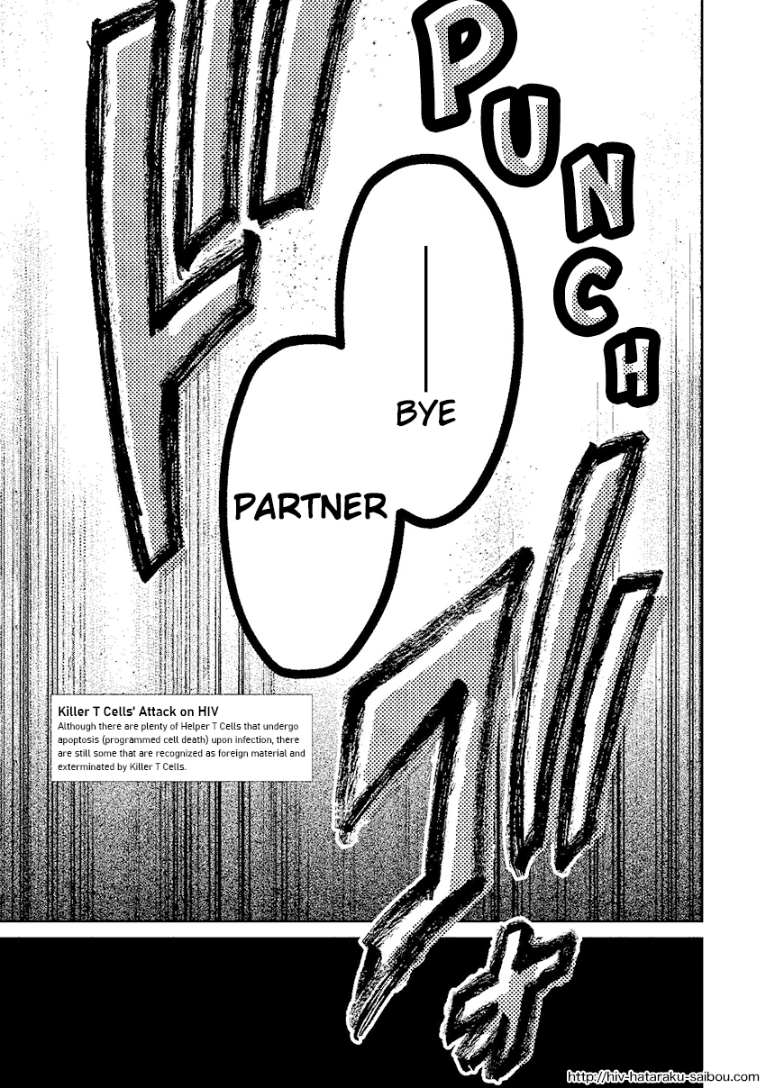 Hataraku Saibou HIV Special Edition Oneshot 第47页